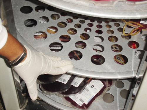 As bolsas de sangue estão cada vez mais reduzidas (Foto: Divulgação)