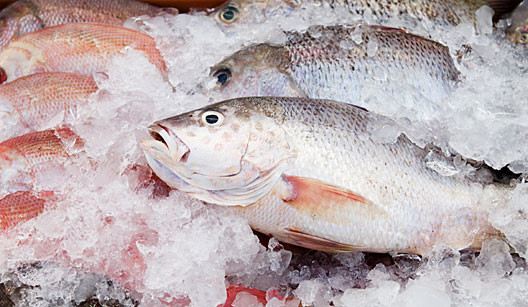 Os técnicos do Procon acabaram de realizar a pesquisa de preços do pescado, no Mercado Municipal (Foto: Divulgação)