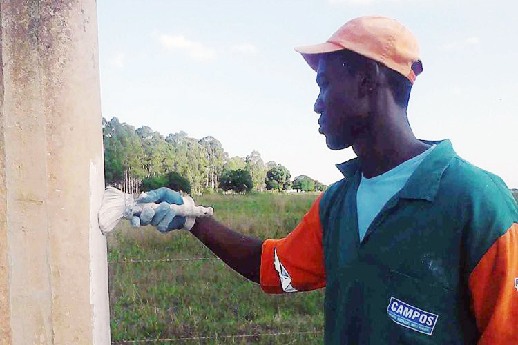As equipes padrão e especial executam serviços, como varrição, capina, roçada de vegetação, pintura de postes, meio fio, entre outros (Foto: Secom)