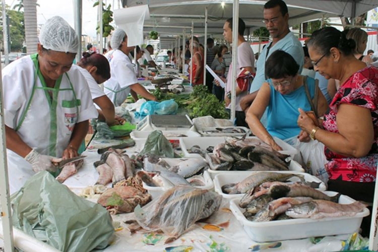 A Feira vai funcionar das 7h às 17h, na Rua das Palmeiras, ao lado do Parque Alzira Vargas (Foto: Secom)