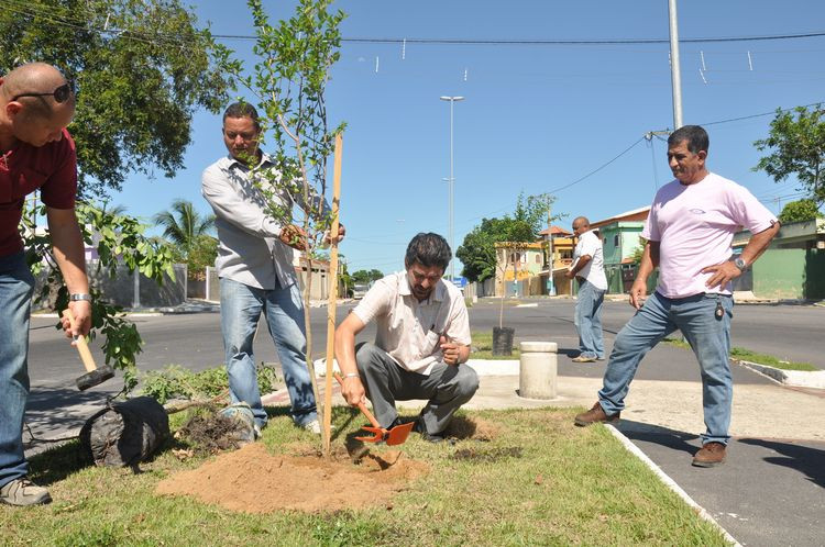 Ao todo serão plantadas 10 espécies de árvores frutíferas e nativas (Foto: Secom)