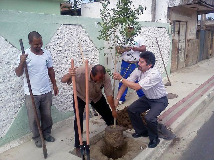 No projeto de arborização terão prioridade as espécies frutíferas e nativas da Mata atlântica (Foto: Secom)