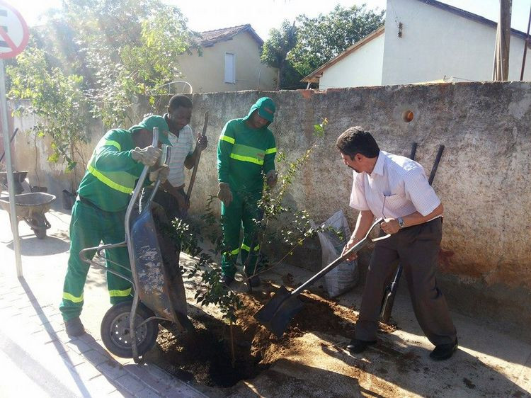 Segundo o secretário, as árvores vão proporcionar benefícios, como sombra, frutas e flores (Foto: Divulgação)