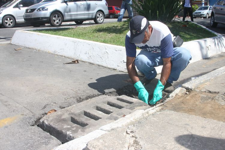 Para solicitar a ação do CCZ, a população pode ligar para o telefone 0800 2828 822 (Foto: Secom)