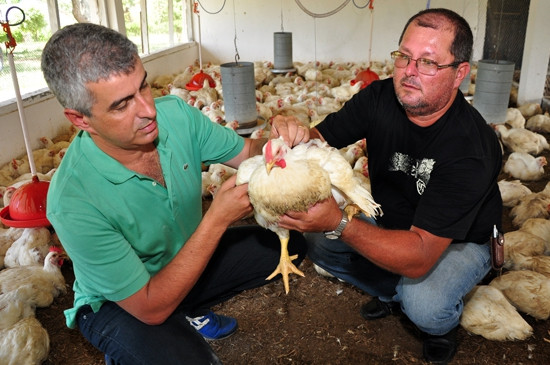 O curso de capacitação teórica básica será oferecido com parcerias (Foto: César Ferreira)