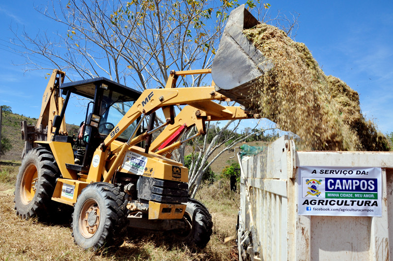 Com a falta de chuva, o pasto resseca e o gado precisa de outra fonte de alimentação para não morrer durante a seca. (Foto: César Ferreira)