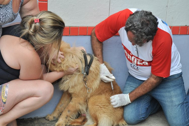 O Centro de Controle de Zoonoses (CCZ), da Secretaria de Saúde, vacinou 47 mil animais contra a raiva, sendo 42 mil cães e 5 mil gatos (Foto: secom)