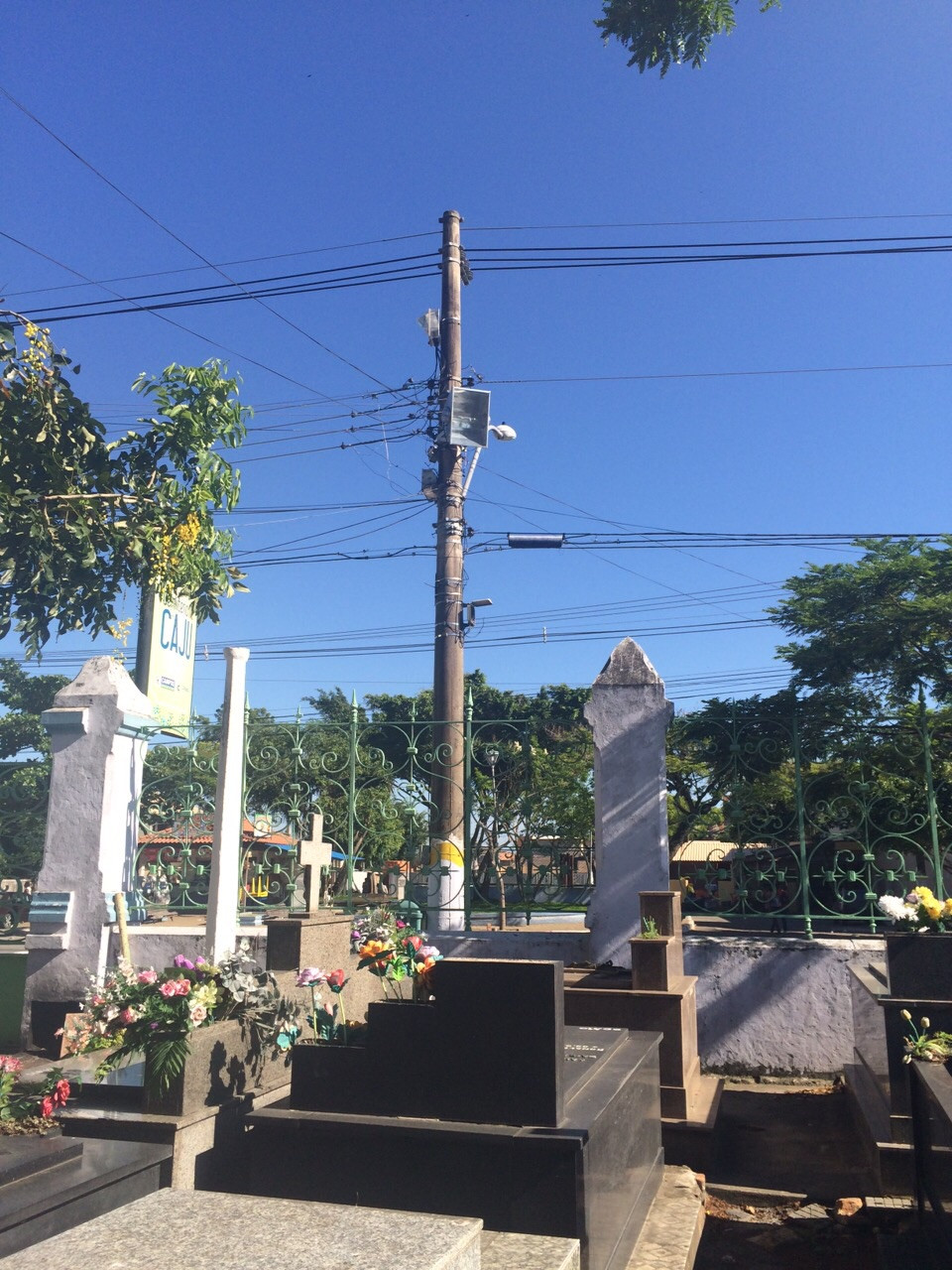  (Foto: Divulgação)