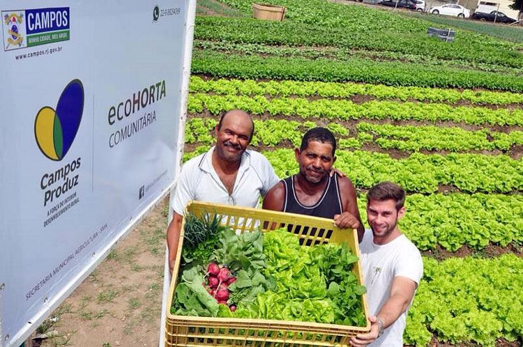 . O programa fechou o ano com 127 hortas, entre plantadas e em colheita, que geram uma renda média de até R$ 222, 43 mensal para os produtores (Foto: secom)