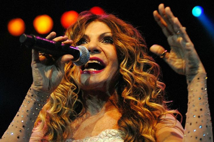 O show de Elba Ramalho está marcado para as 22h, na Festa de São Sebastião (Foto: Divulgação)