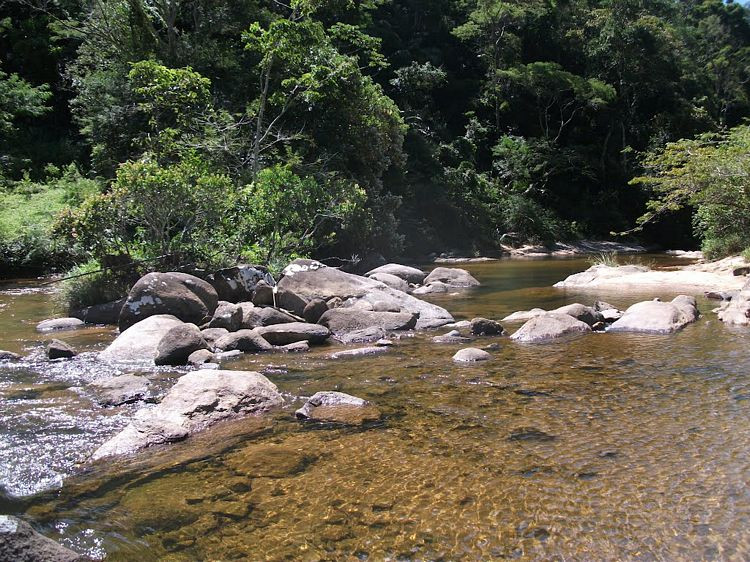 Voluntários da Secretaria de Meio Ambiente e da localidade de Rio Preto realizam nesta terça-feira, a partir das 7h30, o Limpa Bela Joana (Foto: Divulgação)