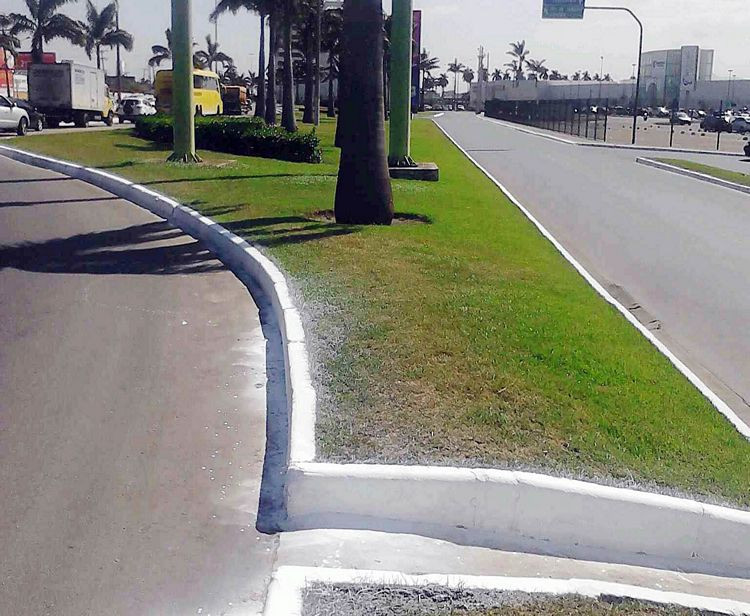 Os trabalhos são os seguintes: varrição, roçada, capina, desobstrução de bueiros, remoção de entulhos e pintura de meios fios e postes (Foto: divulgação)