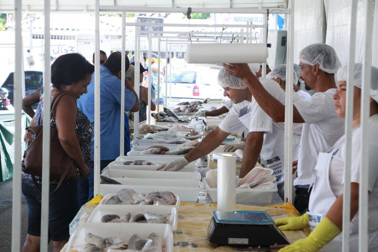 Na edição de 2014, os pescadores venderam 9 toneladas de pescado (Foto: Rodolfo Lins)