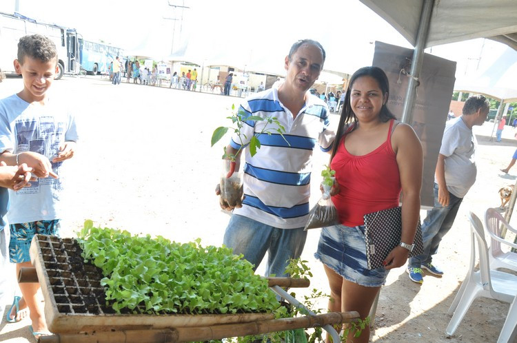 A Superintendência de Agricultura e Pecuária distribuiu mudas às famílias do MorarFfeliz de Ponta Grossa (Foto: Rodolfo Lins)