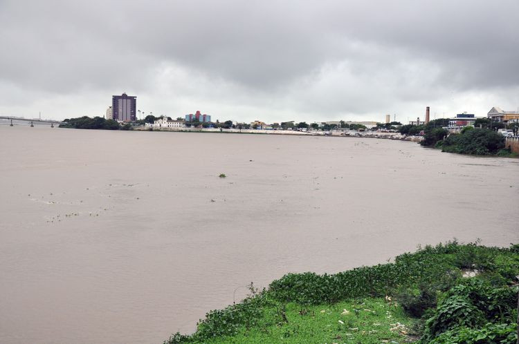 Depois de ter atingido a cota de 7,30 metros nesta quarta-feira (9), a maior registrada nos últimos dois anos, em Campos, o Rio Paraíba do Sul volta a baixar (Foto: Rodolfo Lins)