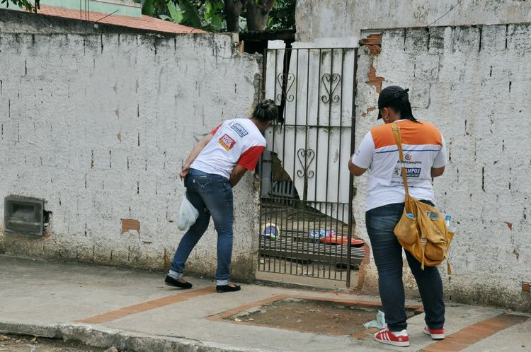 Os agentes de combate a endemias do Centro de Controle de Zoonoses (CCZ) eliminaram mais de 22 mil focos do Aedes aegypti este ano (Foto: Roberto Joia)