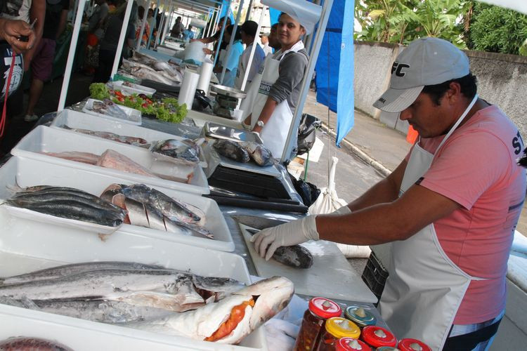 O evento vai acontecer a partir das 14h, na Câmara (Foto: Rodolfo Lins)