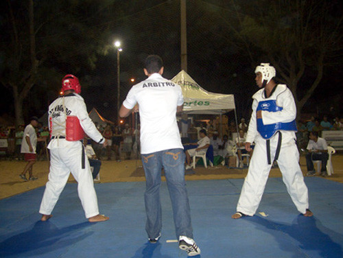 Com a participação de diversas equipes, a previsão é de que o torneio termine no final deste domingo (Foto: Divulgação)