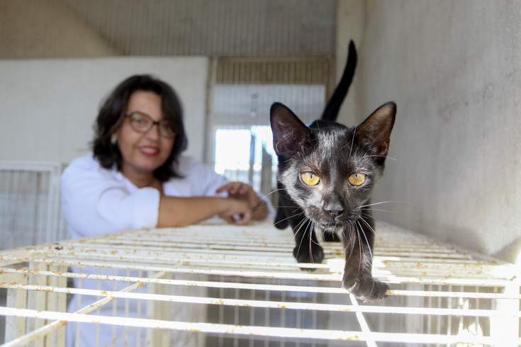  (Foto: Antônio Cruz)